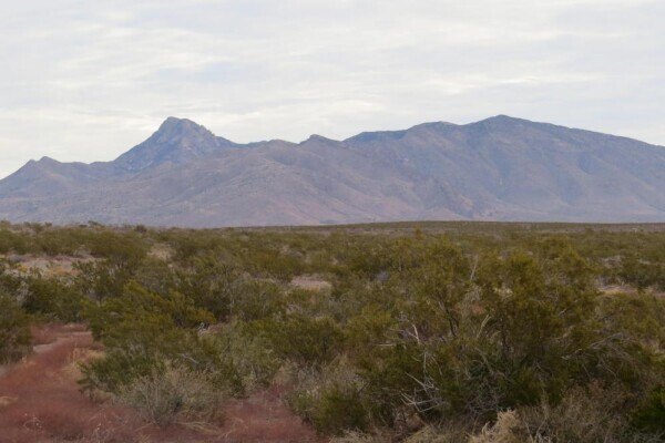 Picture 19