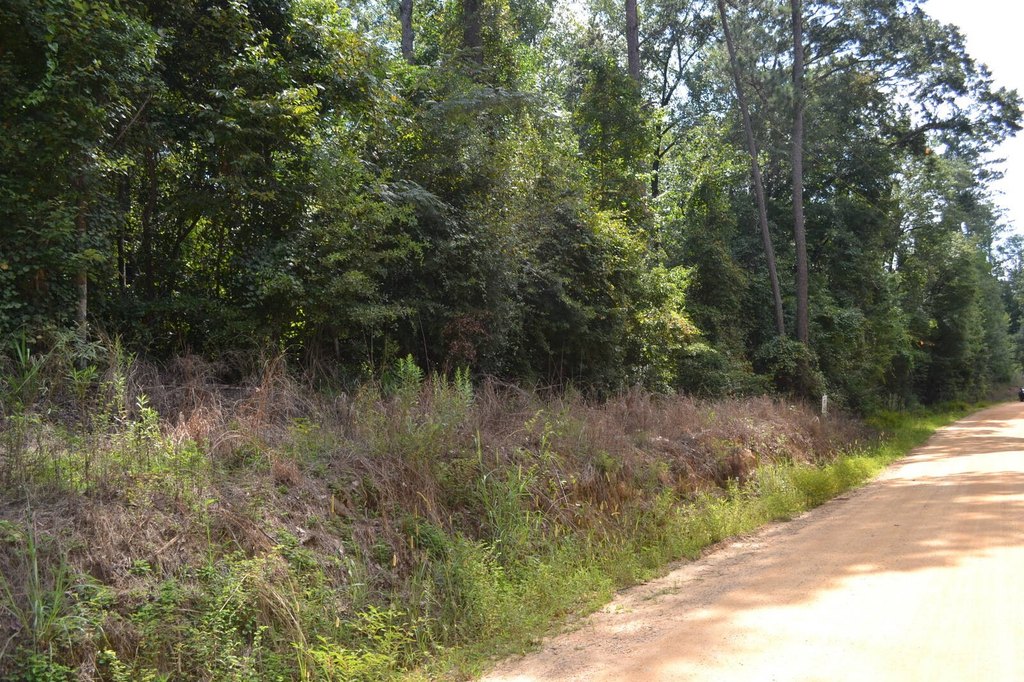 Picture 4