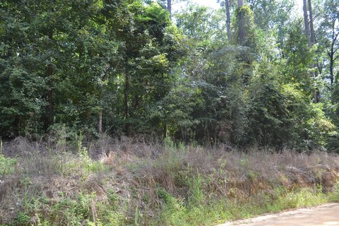 LAND - Highland Home Alabama, AL