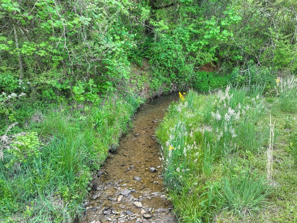 Picture 8