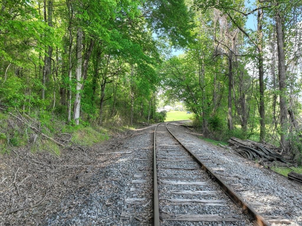 Picture 4