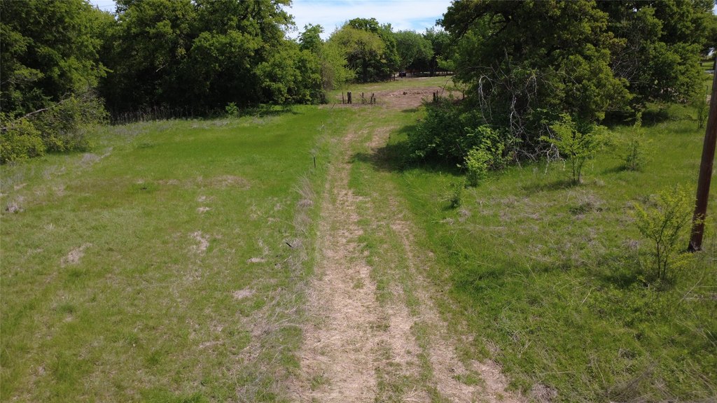 Picture 11