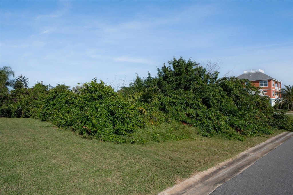Picture 15