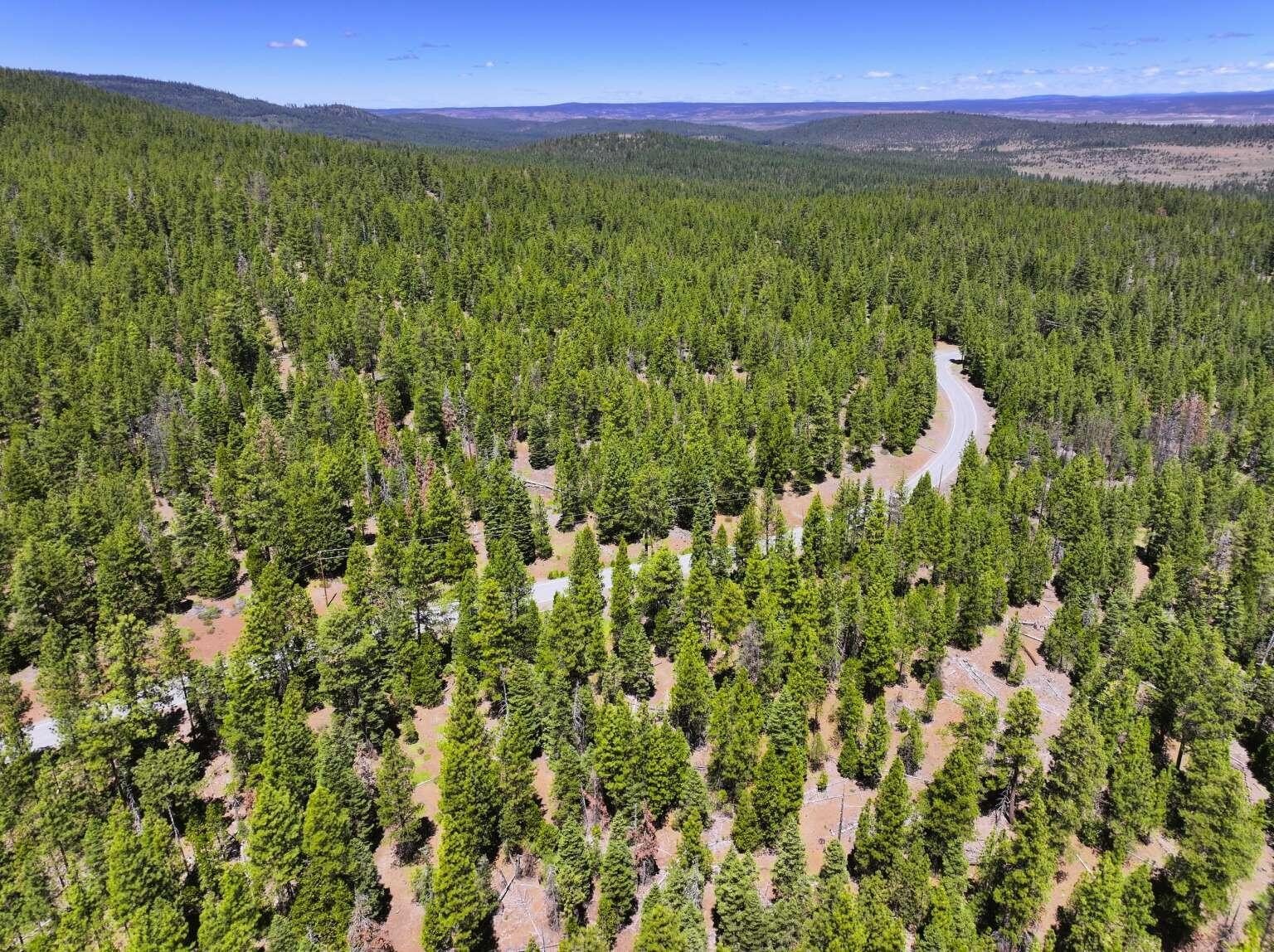 California Pines Double Lot