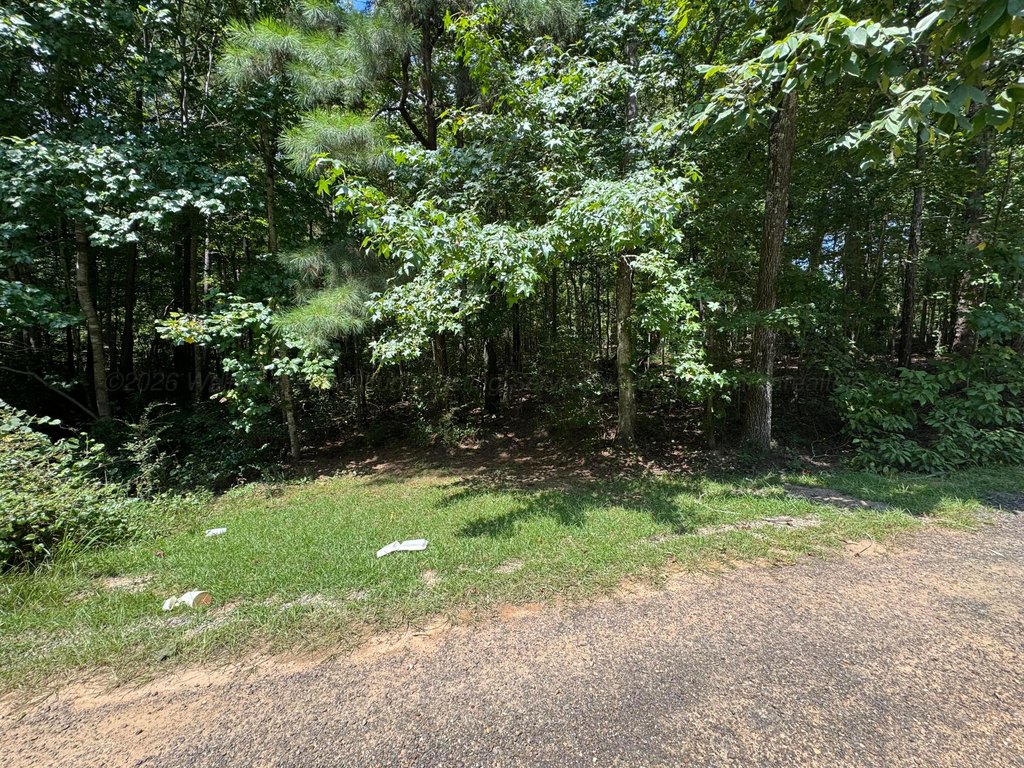 Picture 12