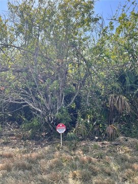 Port Charlotte Vacant Lot