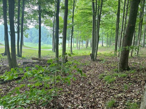 LAND - BELLAIRE, MI