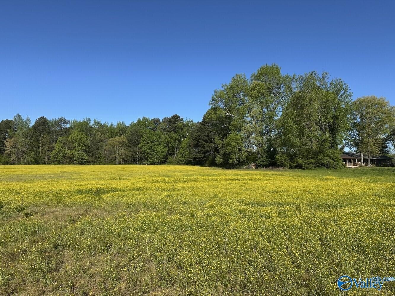Unrestricted Land Near Athens, AL