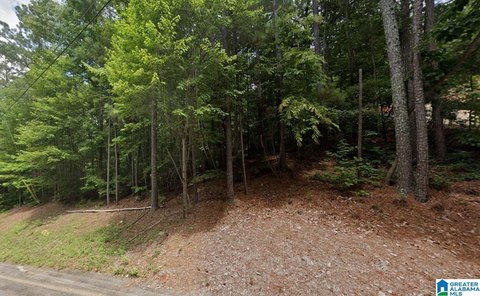LAND - GADSDEN, AL