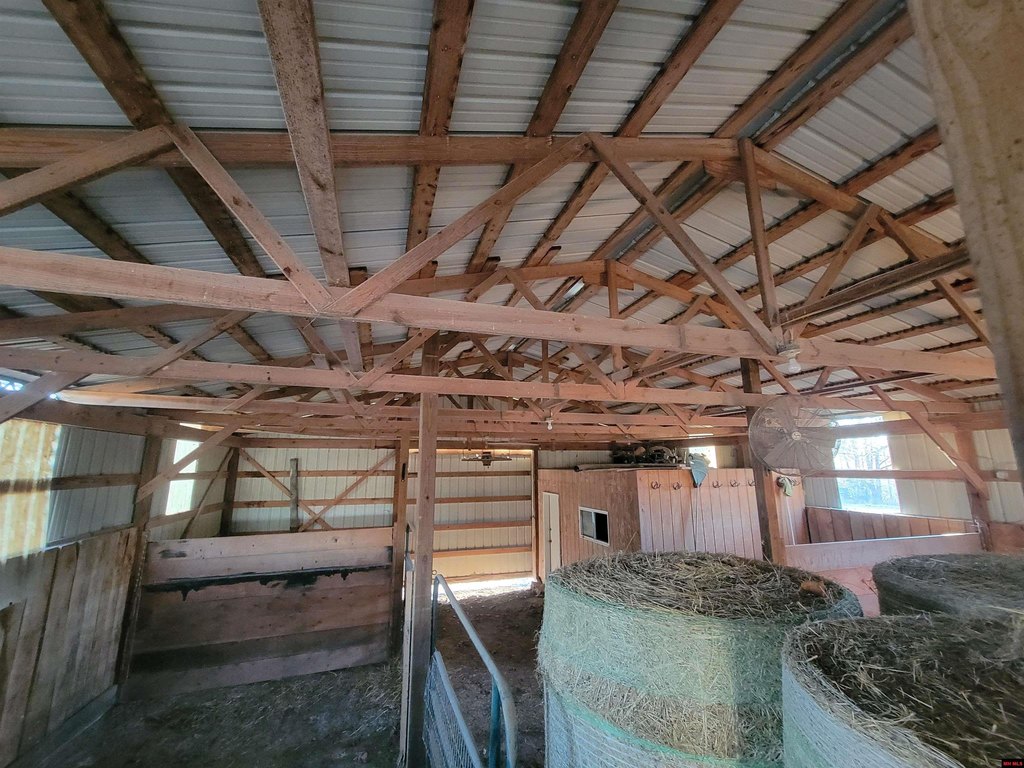 Picture 3