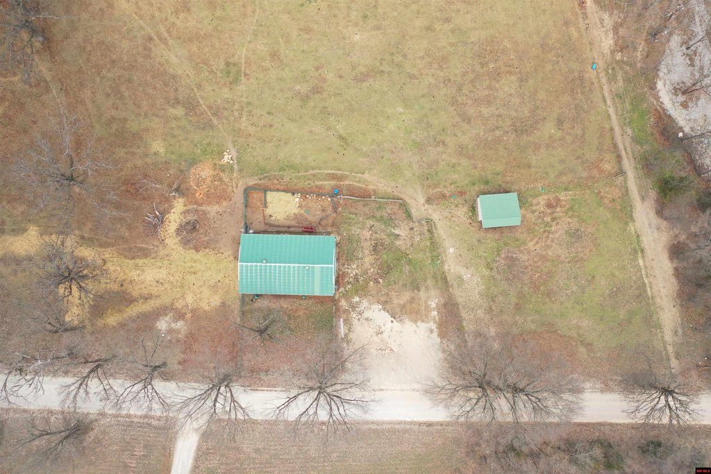 Picture 6