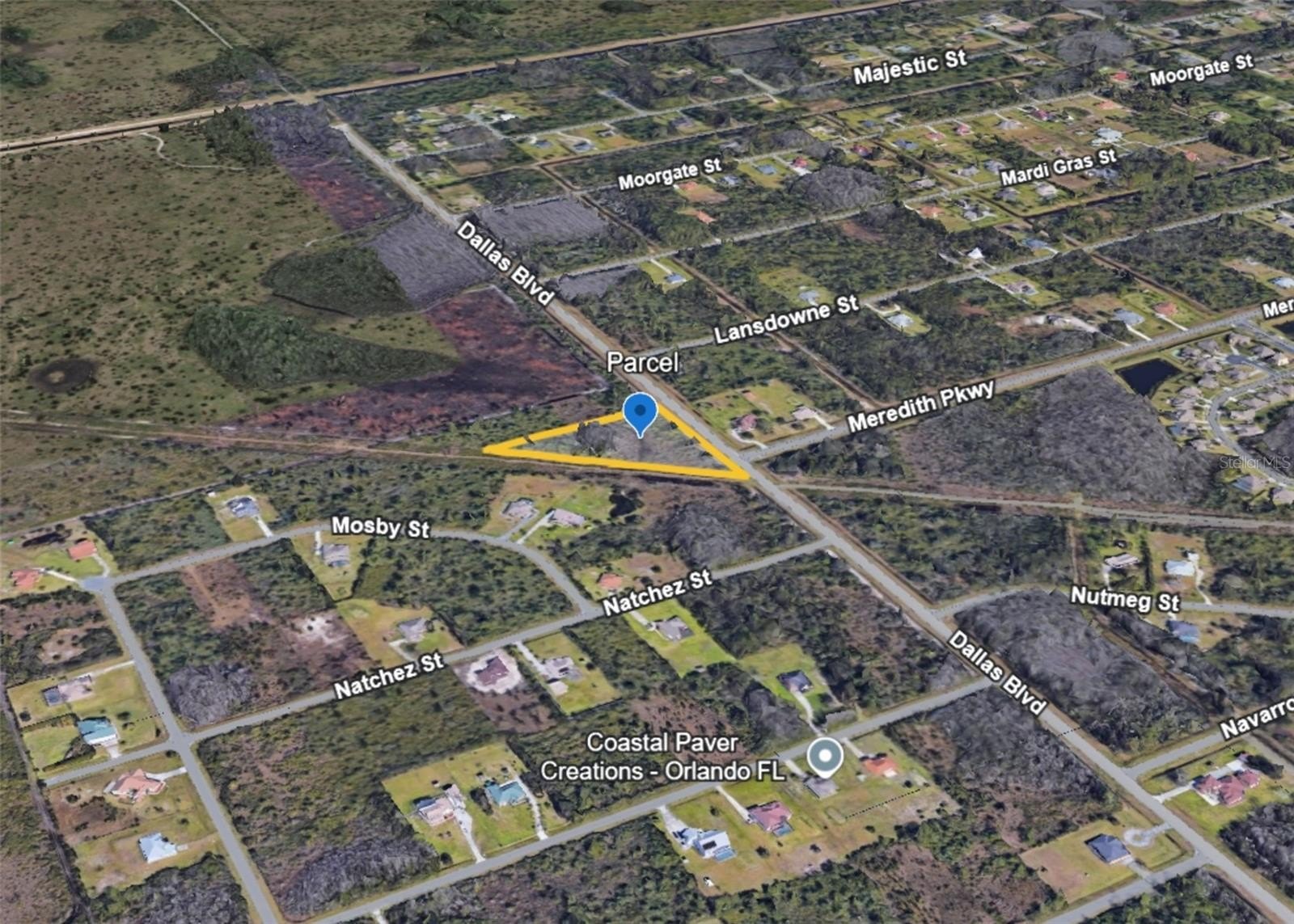 Expansive Wooded Lot in Orlando