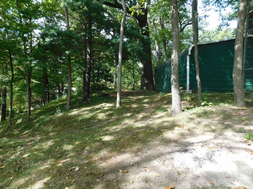 Picture 17