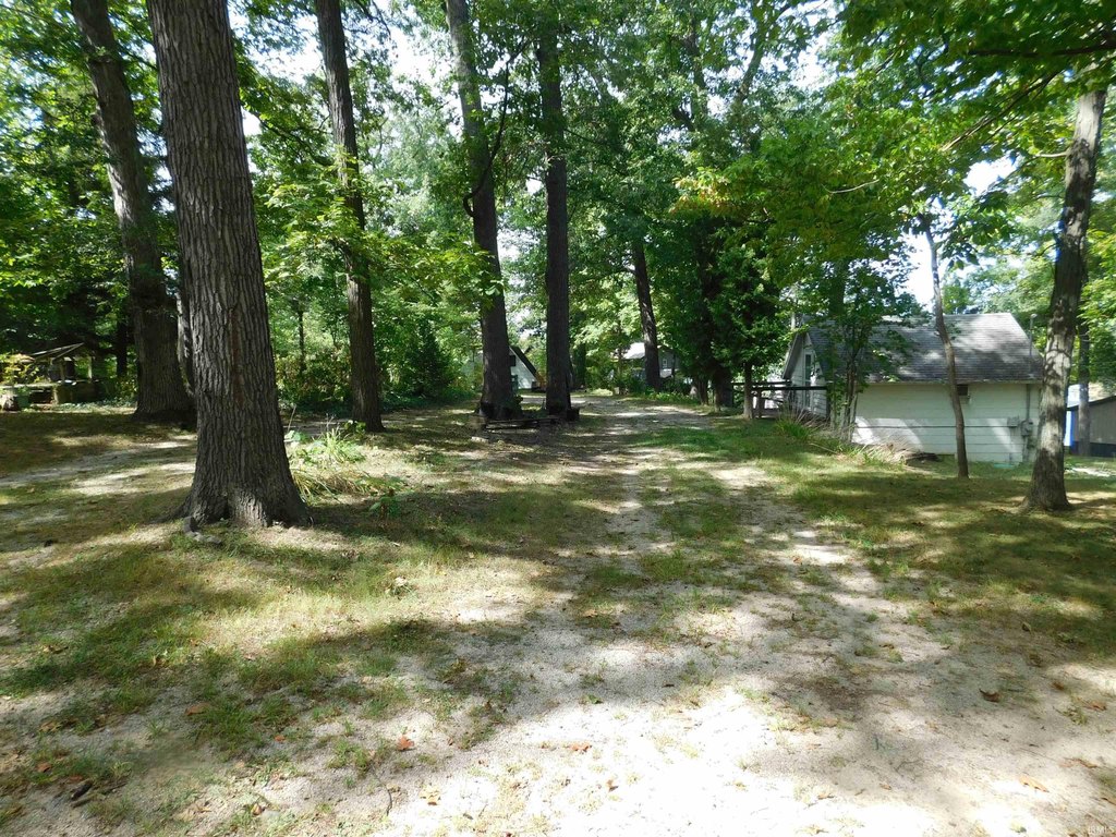 Picture 14