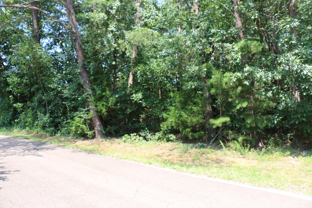 Picture 3