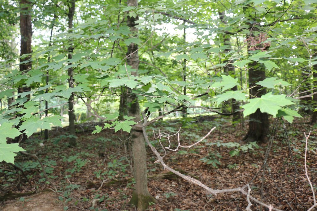 Picture 6
