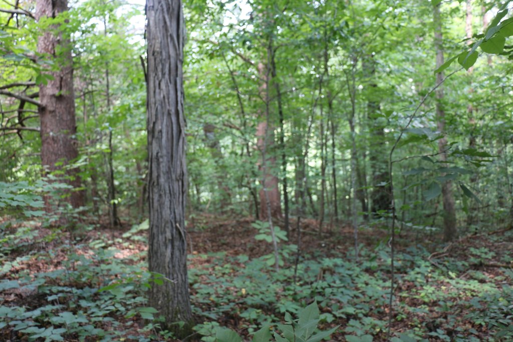 Picture 4