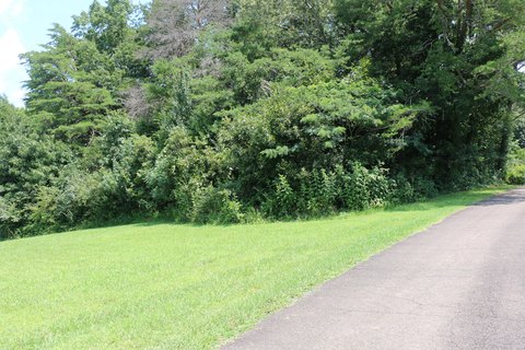 LAND - Etowah, TN