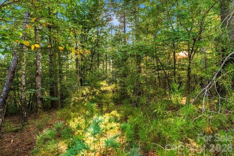 Land, Nebo, NC