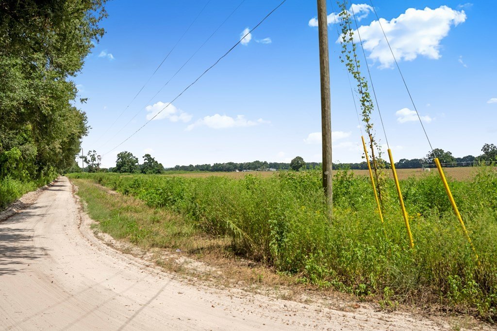 Picture 18