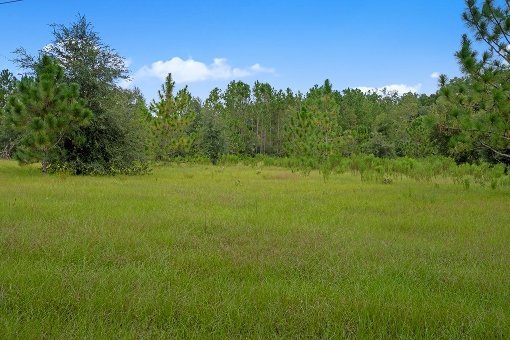 Picture 8
