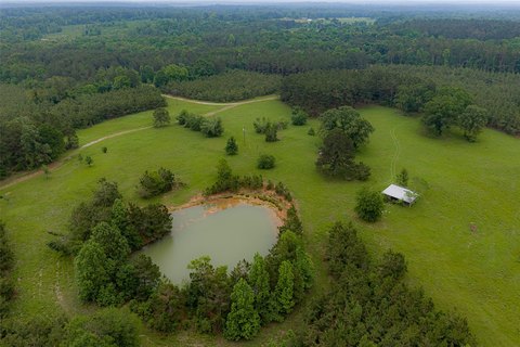 Rural Timber and Hunting Tract