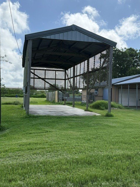 Picture 5