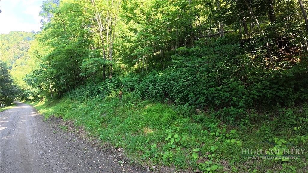 Picture 19