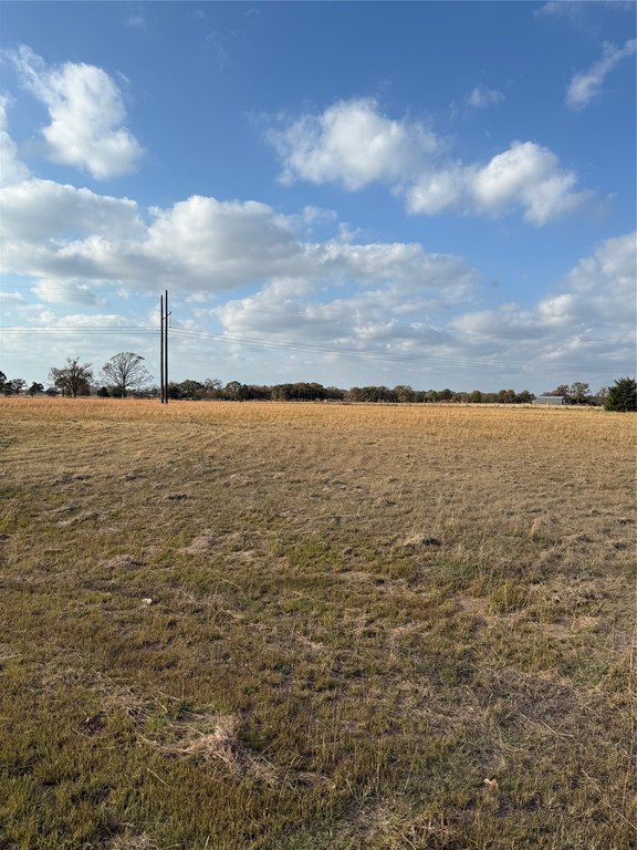 Picture 15