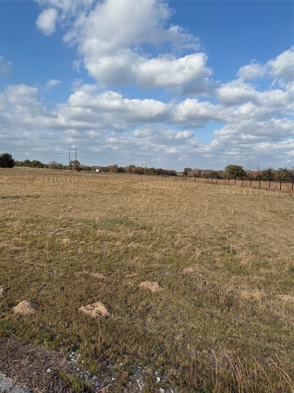 Picture 16