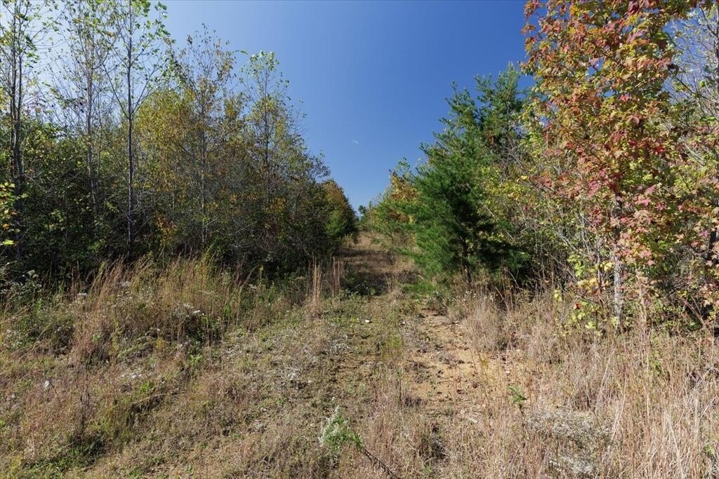 Picture 21