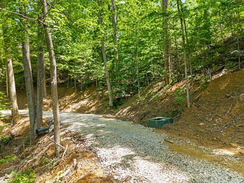 Land in Red River Gorge