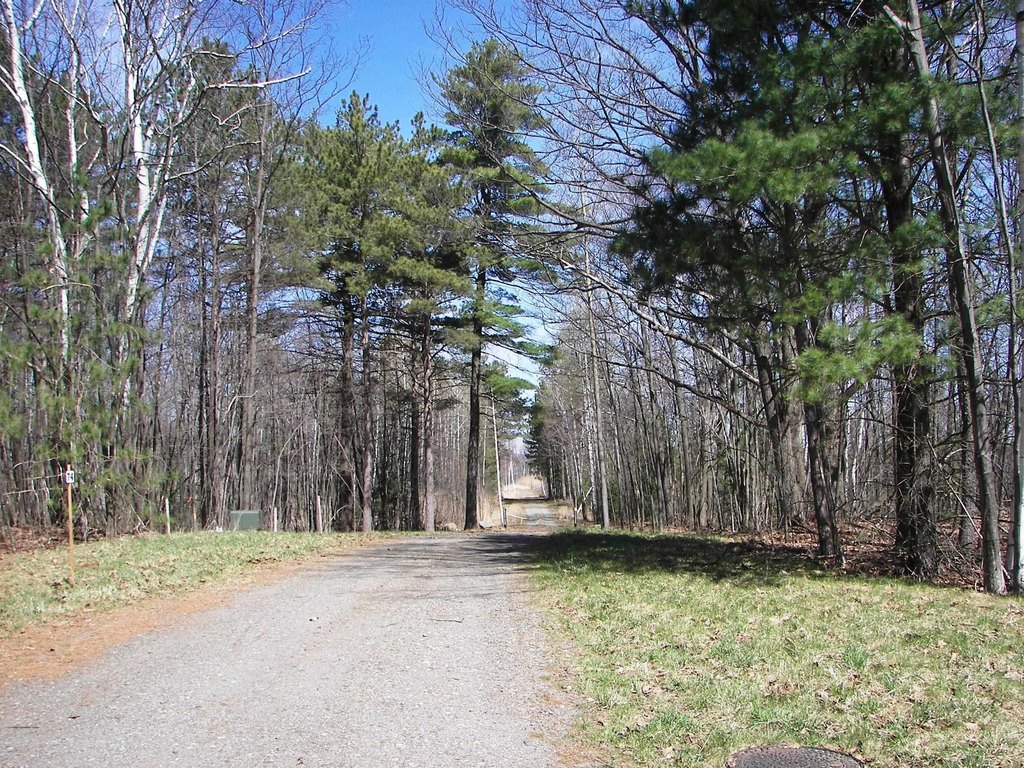 Picture 10