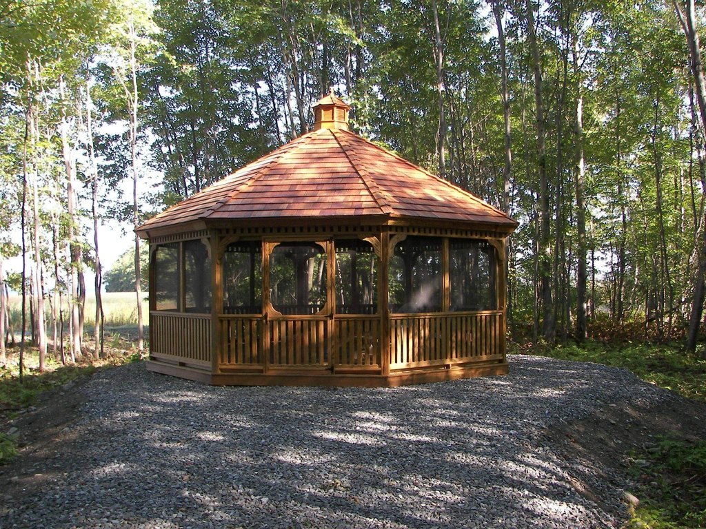 Picture 12
