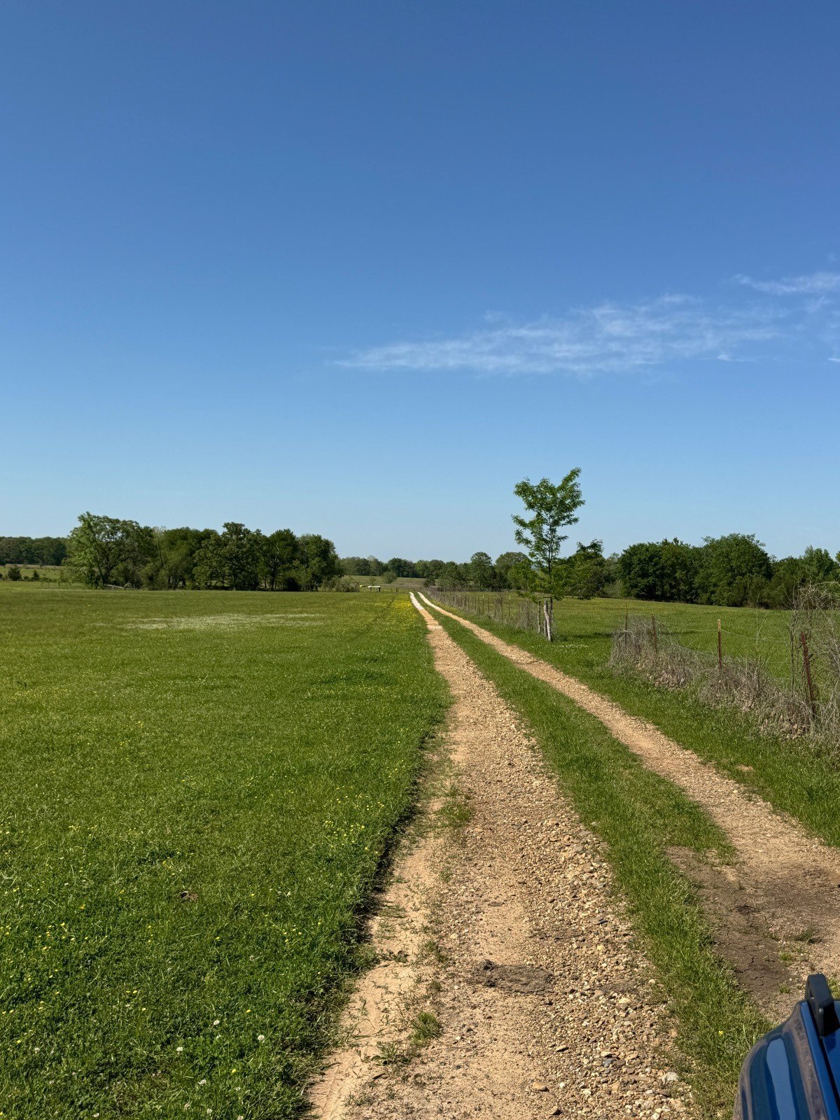 78 Acres Vacant Land Idabel