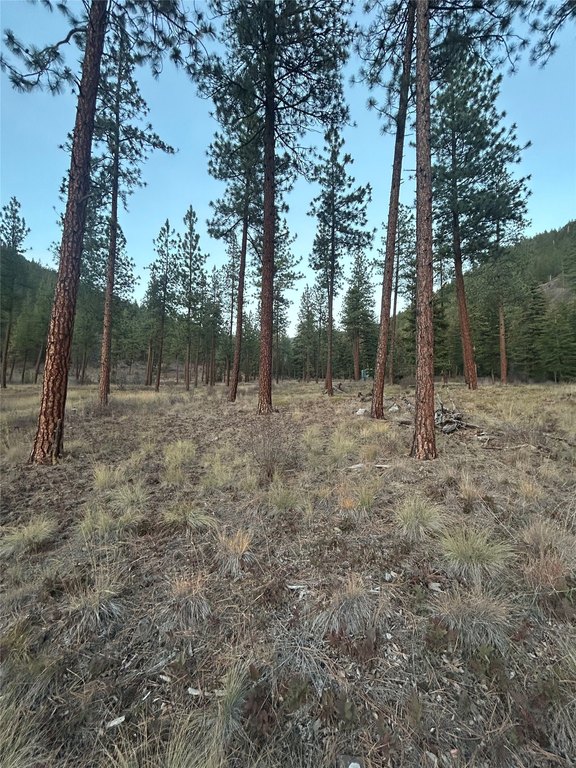 Picture 7