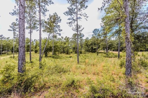 Pace, FL Wooded Land
