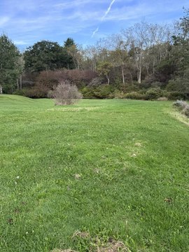 Land, Smethport, PA