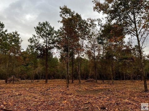 Land, Texarkana, AR
