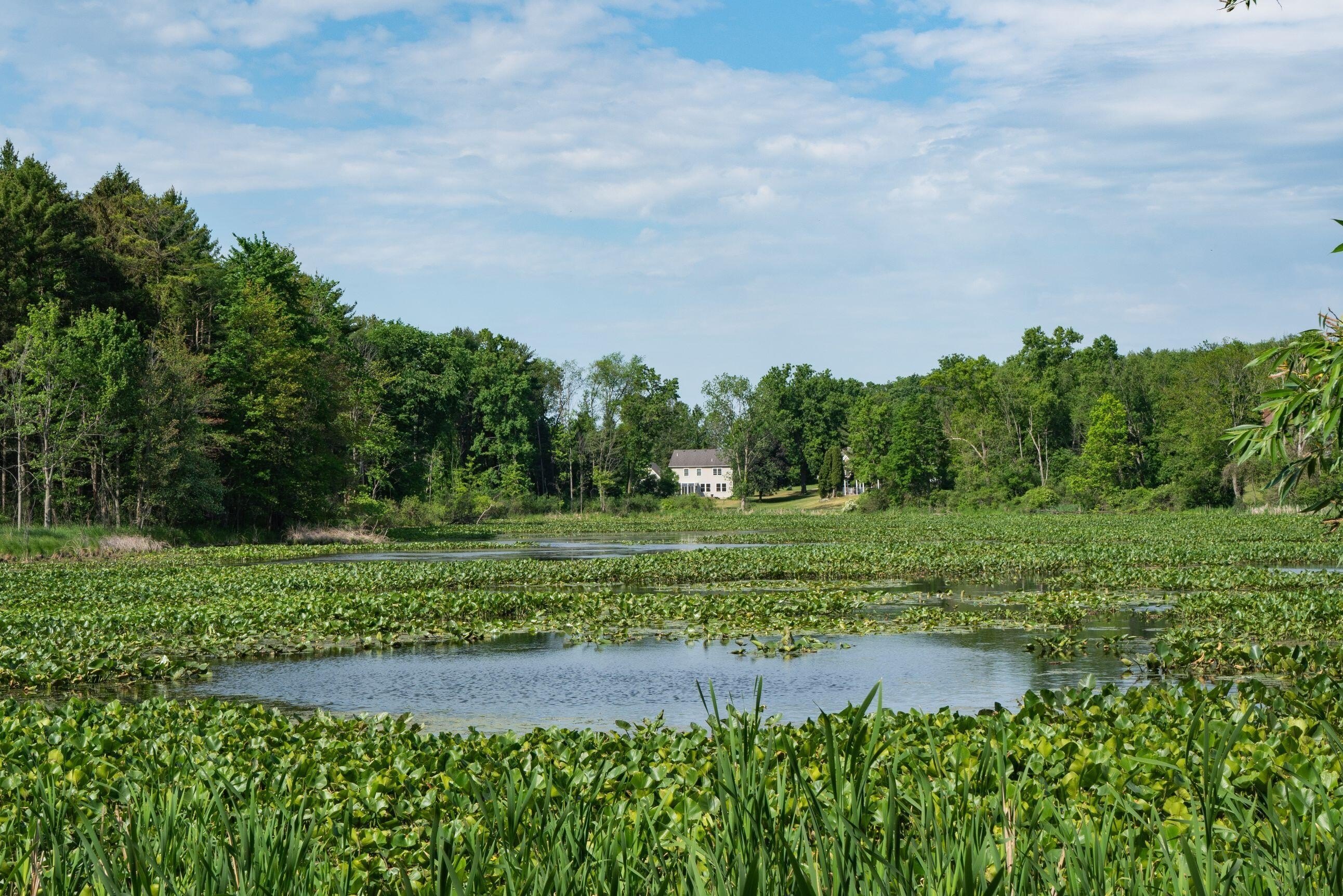 Waterfront Land in Richland, MI