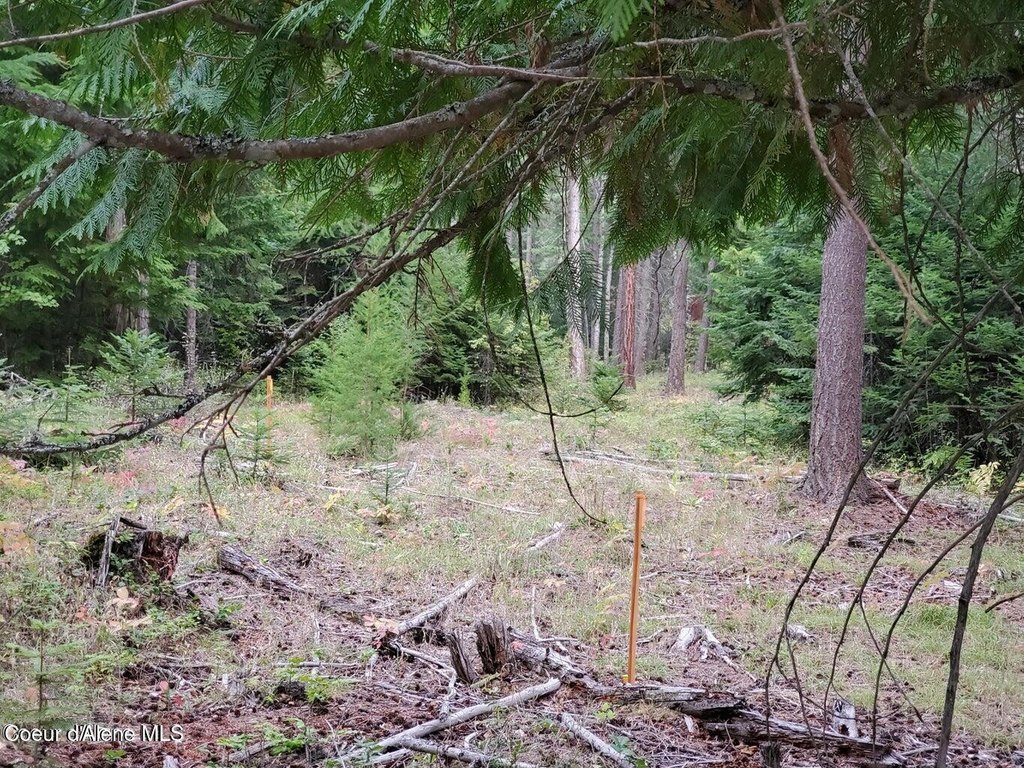 Picture 7