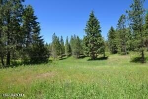LAND - Bonners Ferry, ID