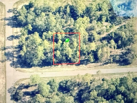 Land, DUNNELLON, FL
