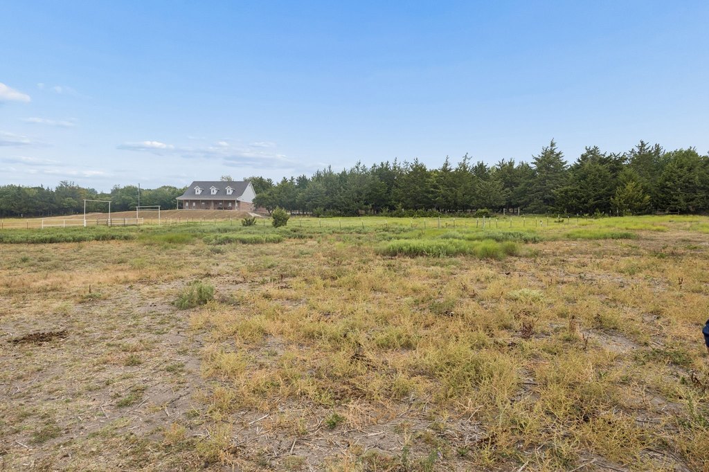 Picture 15