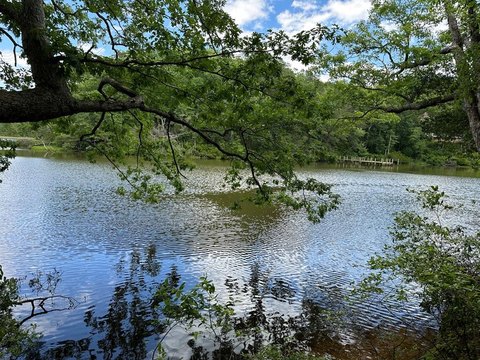 LAND - HEATHSVILLE, VA