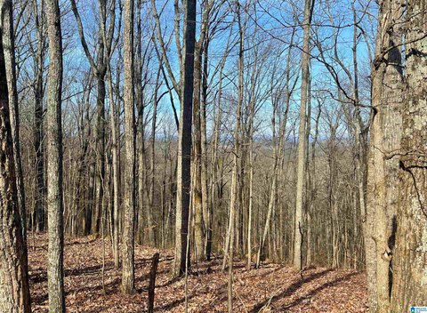 LAND - HEFLIN, AL