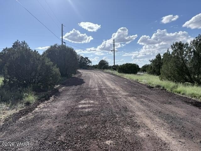 Picture 37