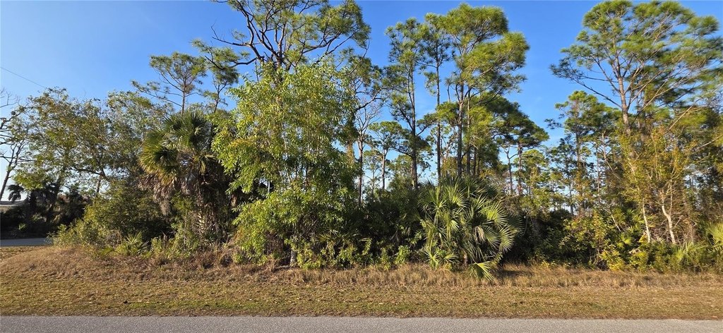 Picture 5