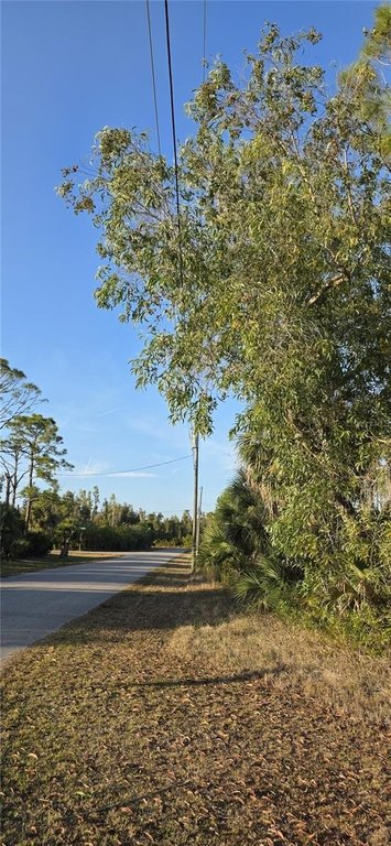 Picture 7