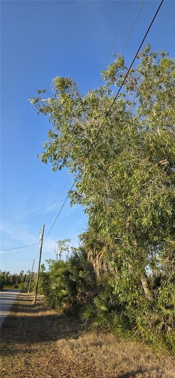 Picture 2